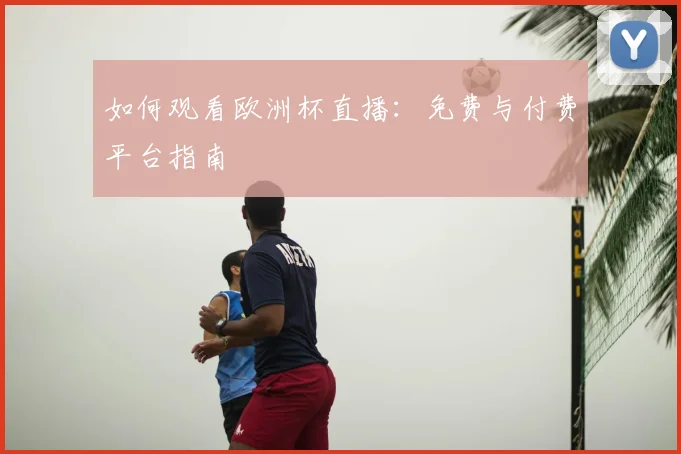 如何观看欧洲杯直播:免费与付费平台指南