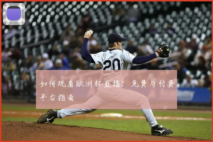 如何观看欧洲杯直播:免费与付费平台指南